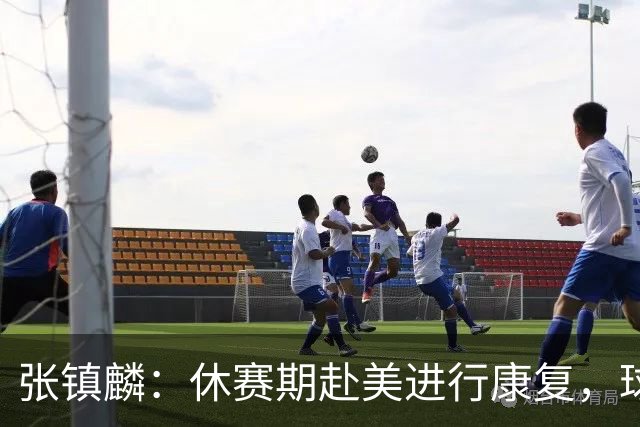 张镇麟：休赛期赴美进行康复，球队依赖磨合提升状态